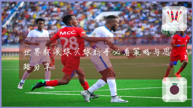 世界杯滚球买球新手必看策略与思路分享
