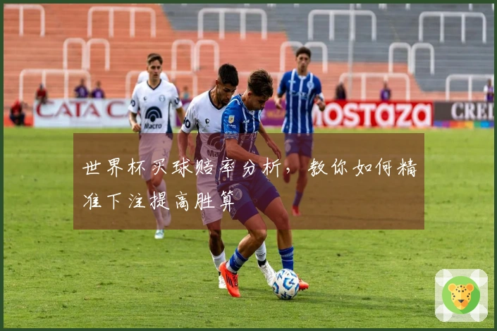 世界杯买球赔率分析，教你如何精准下注提高胜算
