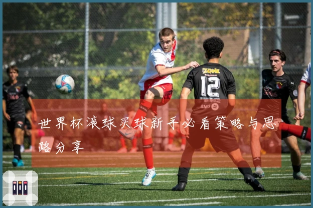 世界杯滚球买球新手必看策略与思路分享