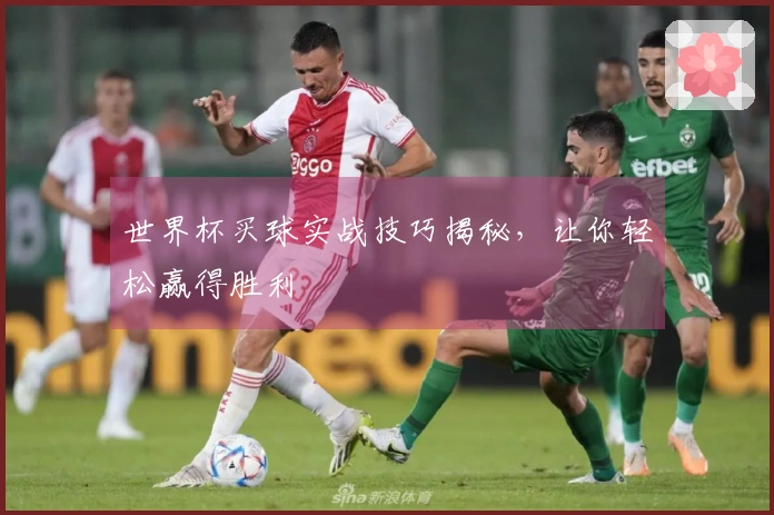 世界杯买球实战技巧揭秘，让你轻松赢得胜利