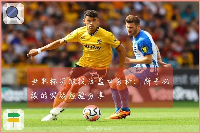 世界杯买球投注盘口分析：新手必读的实战经验分享