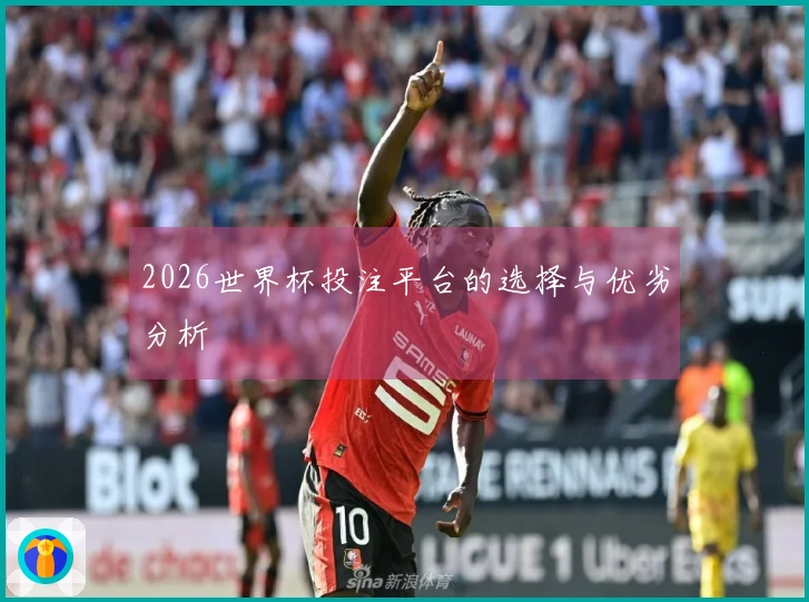 2026世界杯投注平台的选择与优劣分析
