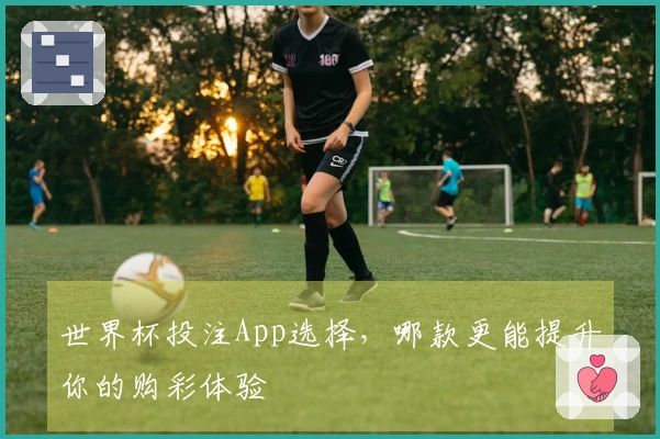 世界杯投注App选择，哪款更能提升你的购彩体验