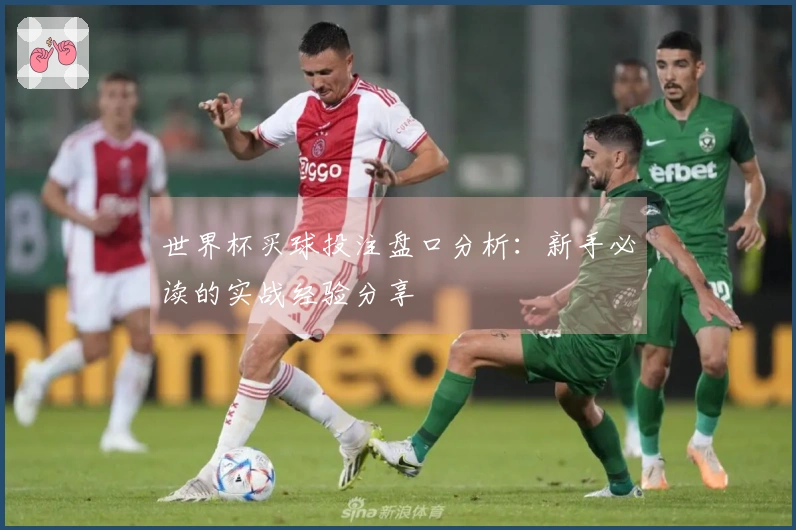 世界杯买球投注盘口分析：新手必读的实战经验分享