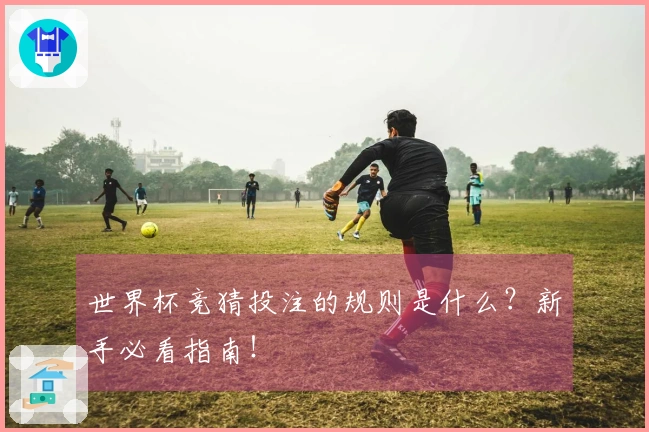 世界杯竞猜投注的规则是什么？新手必看指南！