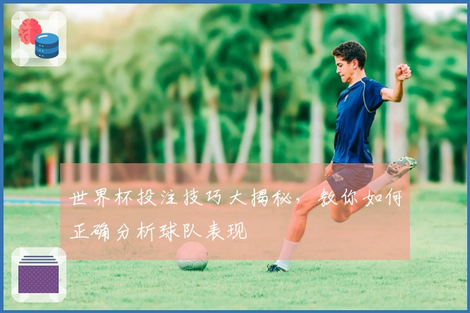 世界杯投注技巧大揭秘，教你如何正确分析球队表现