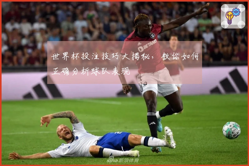 世界杯投注技巧大揭秘，教你如何正确分析球队表现