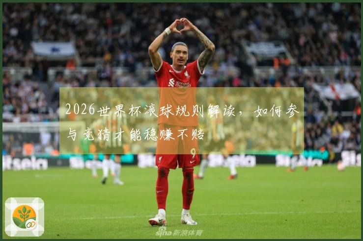 2026世界杯滚球规则解读，如何参与竞猜才能稳赚不赔