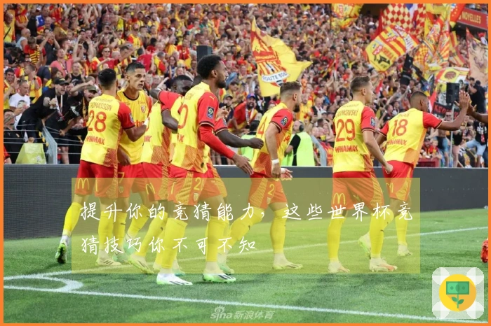 提升你的竞猜能力，这些世界杯竞猜技巧你不可不知
